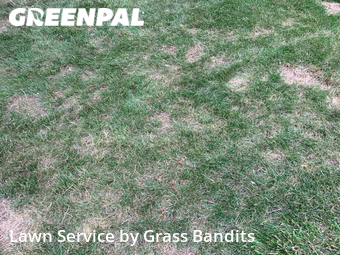 Lawn Service nearby Billings, MT, 