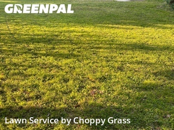Lawn Mowing Service nearby Hillsdale, NJ, 
