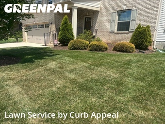 Yard Mowing nearby Concord, NC, 