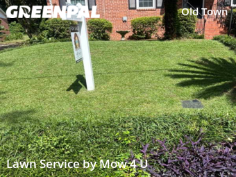 Yard Cutting nearby Tallahassee, FL, 