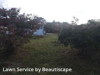 Yard Cutting nearby Leesburg, FL, 