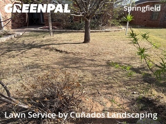 Yard Cutting nearby Lubbock, TX, 