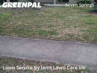 Lawn Care Service nearby New Port Richey, FL, 