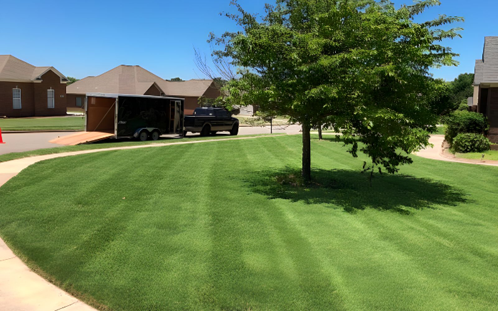 Alabama Lawn Managem Lawn Care Services in New Market AL