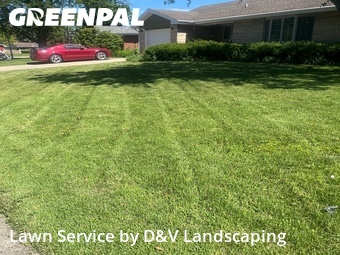 Grass Cutin Joliet,60435,Lawn Cutting by D&V Landscaping , work completed in Jun , 2026