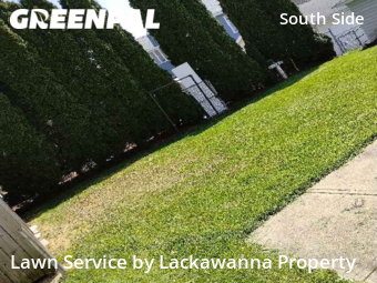 Grass Cut nearby Scranton, PA, 