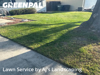 Lawn Care nearby Modesto, CA, 