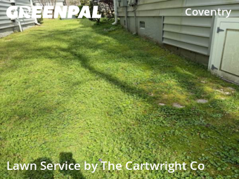 Lawn Cutting nearby Raleigh, NC, 