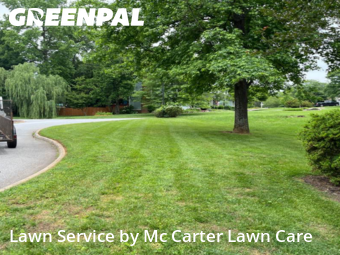 Yard Cutting nearby Taylors, SC, 