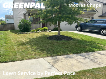 Lawn Maintenance nearby Charlotte, NC, 