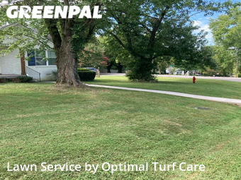 Lawn Cutting nearby Nashville, TN, 