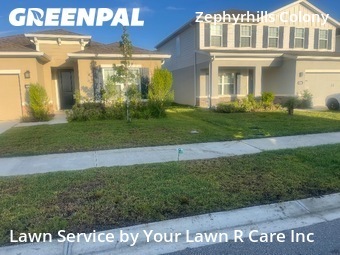 Lawn Mow nearby Zephyrhills, FL, 