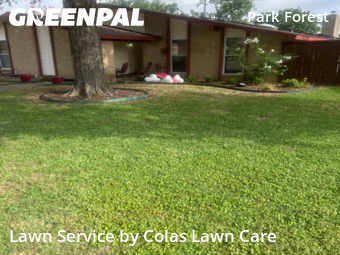 Lawn Cutting nearby Plano, TX, 