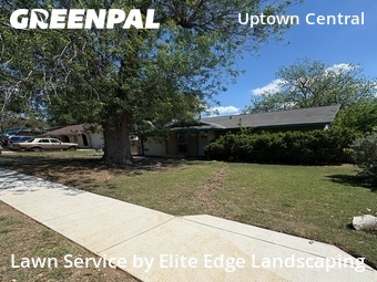 Lawn Cut nearby San Antonio, TX, 