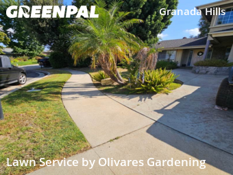 Work completed by local-lawn-care-services-in-Los Angeles-CA