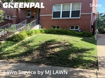Lawn Cutting nearby St. Louis, MO, 