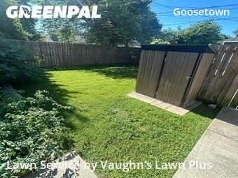 Lawn Mow nearby Evansville, IN, 