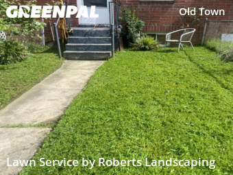 Lawn Service nearby Alexandria, VA, 