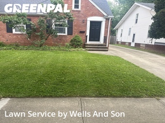 Lawn Care Service nearby Lyndhurst, OH, 