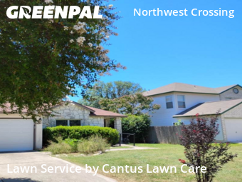Lawn Care nearby San Antonio, TX, 