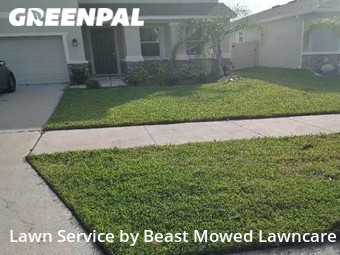 Lawn Cutting nearby Wesley Chapel, FL, 