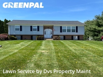 Yard Cutting nearby Bear, DE, 