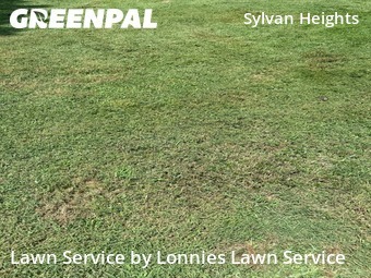 Landscape Design In Nashville,37209,Landscapers by Lonnies Lawn Service, work completed in Jul , 2026