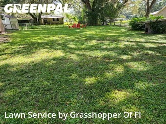 Lawn Cutting nearby Lakeland, FL, 