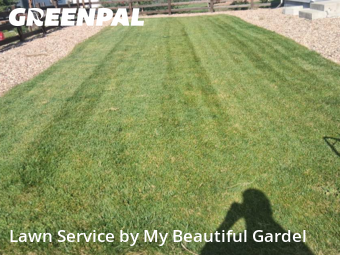 Lawn Mow nearby Aurora, CO, 