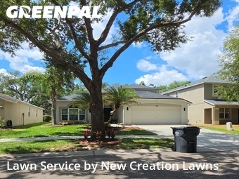 Lawn Cut nearby Riverview, FL, 