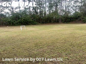 Lawn Care Service nearby Lehigh Acres, FL, 