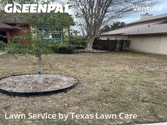 Yard Cuttingin San Antonio,78244,Lawn Cut by Texas Lawn Care, work completed in Jan , 2026