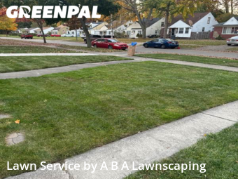 Grass Cut nearby Oak Park, MI, 