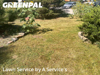 Lawn Care nearby Centennial, CO, 
