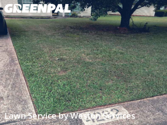 Grass Cutting nearby Bessemer, AL, 