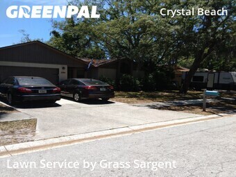 Grass Cuttingin Palm Harbor,34683,Grass Cut by Grass Sargent, work completed in Jun , 2026