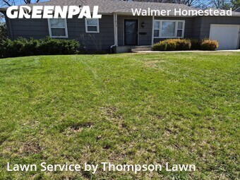 Lawn mowed in Mission, 66202