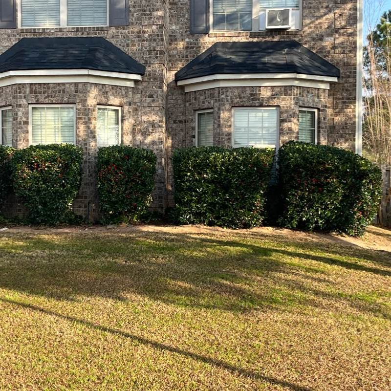 Landscaping Companies In Augusta,30909,Landscaping Installation by Daniels Lawn Care, work completed in Jan , 2026