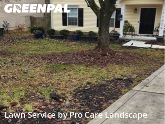 Lawn Mowingin Charlotte,28215,Yard Cutting by Pro Care Landscape , work completed in Feb , 2026