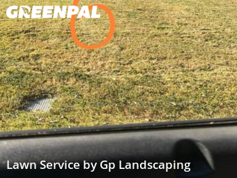 Grass Cutting nearby Pineville, NC, 