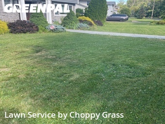 Lawn Care nearby Englewood Cliffs, NJ, 