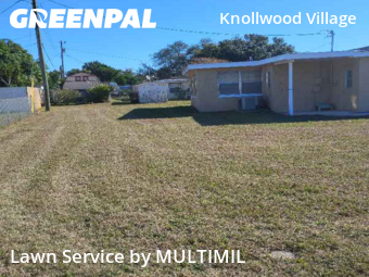 Lawn Services in Holiday, 34690, Yard Care by MULTIMIL , work completed in Dec , 2025