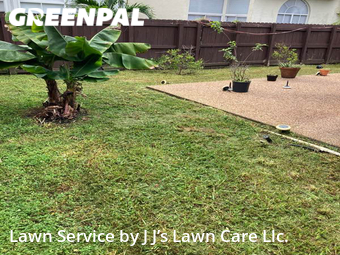 Grass Cutting nearby Hollywood, FL, 