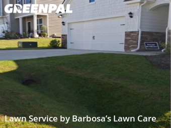 Lawn Cutting nearby Asheville, NC, 