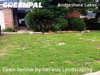 Lawn Service nearby Spring, TX, 
