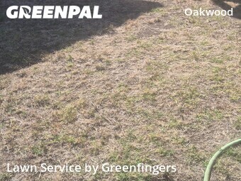 Affordable Landscaping Maintenance Services In Los Angeles,90291,Landscaping by Greenfingers , work completed in Jun , 2026