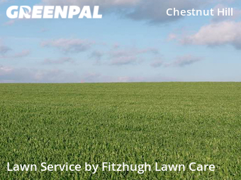 Lawn Care nearby Nashville, TN, 