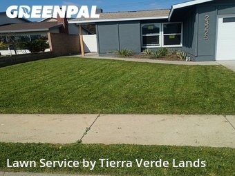 Lawn Cut nearby Torrance, CA, 