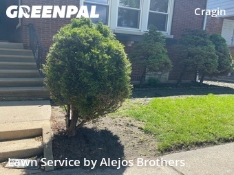 Yard Cuttingin Chicago,60639,Yard Cutting by Alejos Brothers, work completed in Jun , 2026
