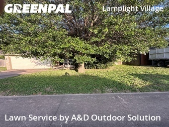 Lawn Maintenance nearby Austin, TX, 